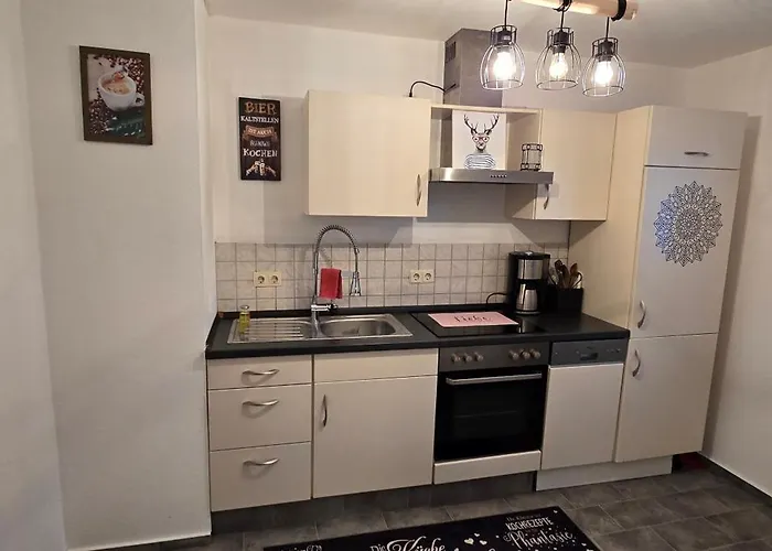 Schieferstuebchen Winterberg Ferienwohnung Fuer 10 Personen