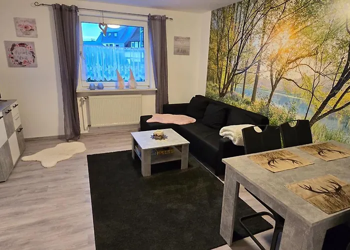 Schieferstuebchen Winterberg Ferienwohnung Fuer 10 Personen